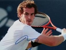 开云体育app-ATP总决赛横扫温网，穆雷点燃赛场的简单介绍