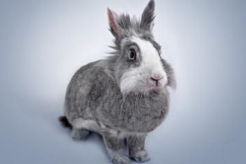 开云下载-金球的光芒与非洲的黎明，个人英雄主义与团队铁壁的隔空对话