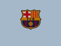 开云官网-独木与森林，当团队轻取与孤身扛旗同框