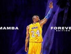 开云体育APP下载-终场绝响，贝林厄姆一球定乾坤，曼城逆转药厂谱写欧冠新章